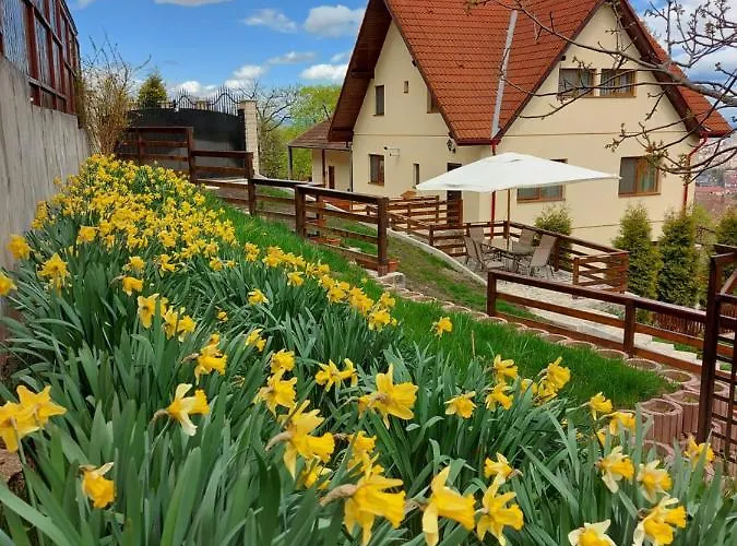 Apartament Matei