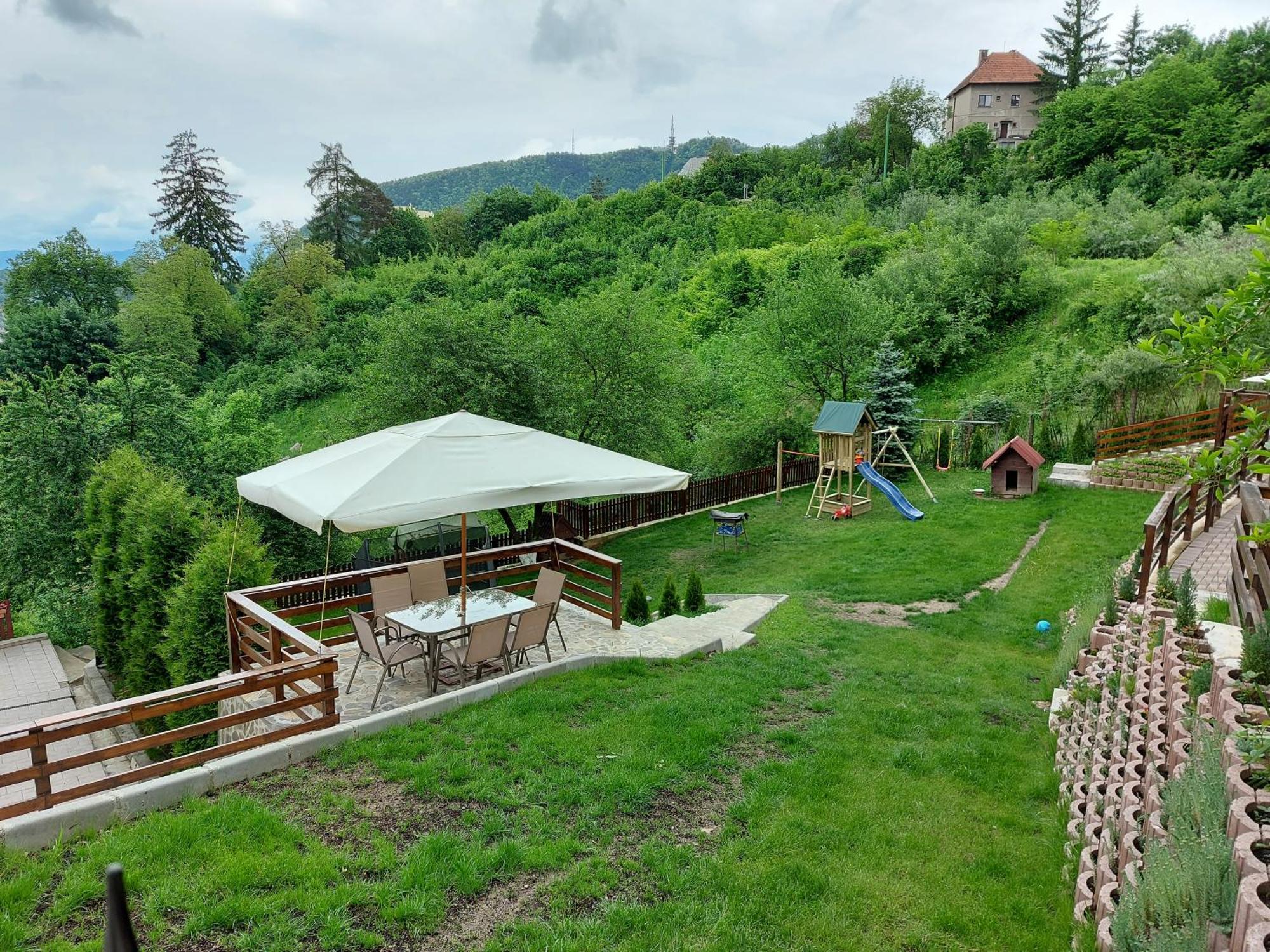 Matei Brasov